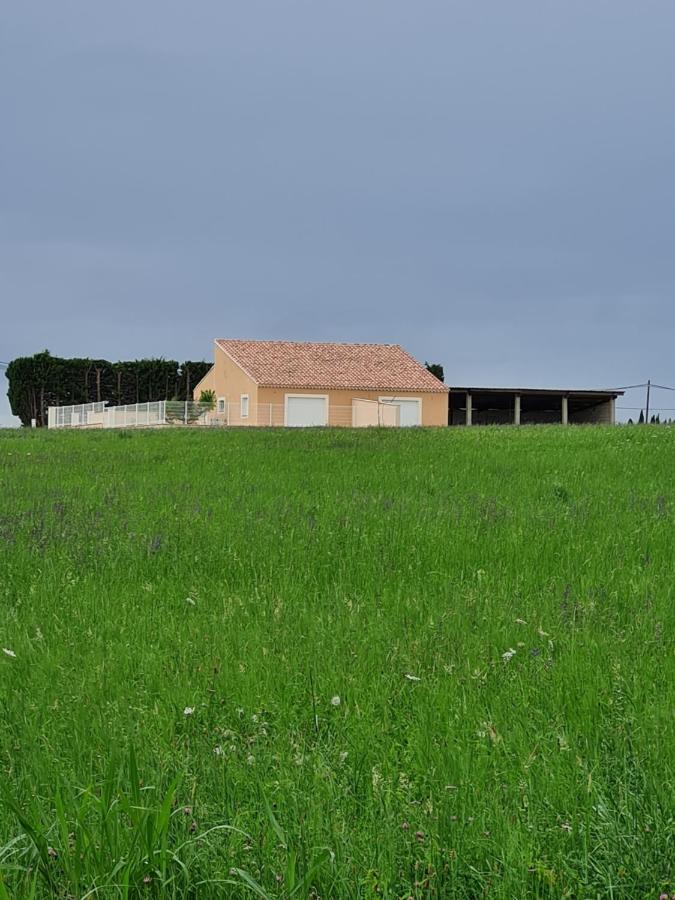 Paquerette Villa Arles Bagian luar foto